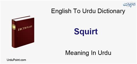 Squirt meaning in Urdu: Bud Dimaag